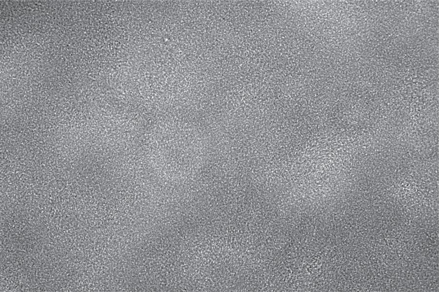 Emergence of vortex lattice in dense bacteria suspensions